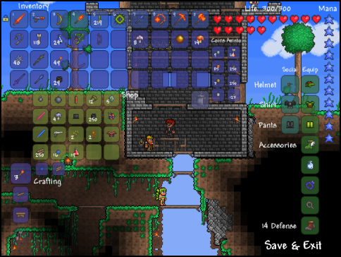 Terraria Terraria