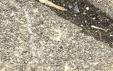 Img_20250515_112030